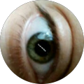 amorino Avatar